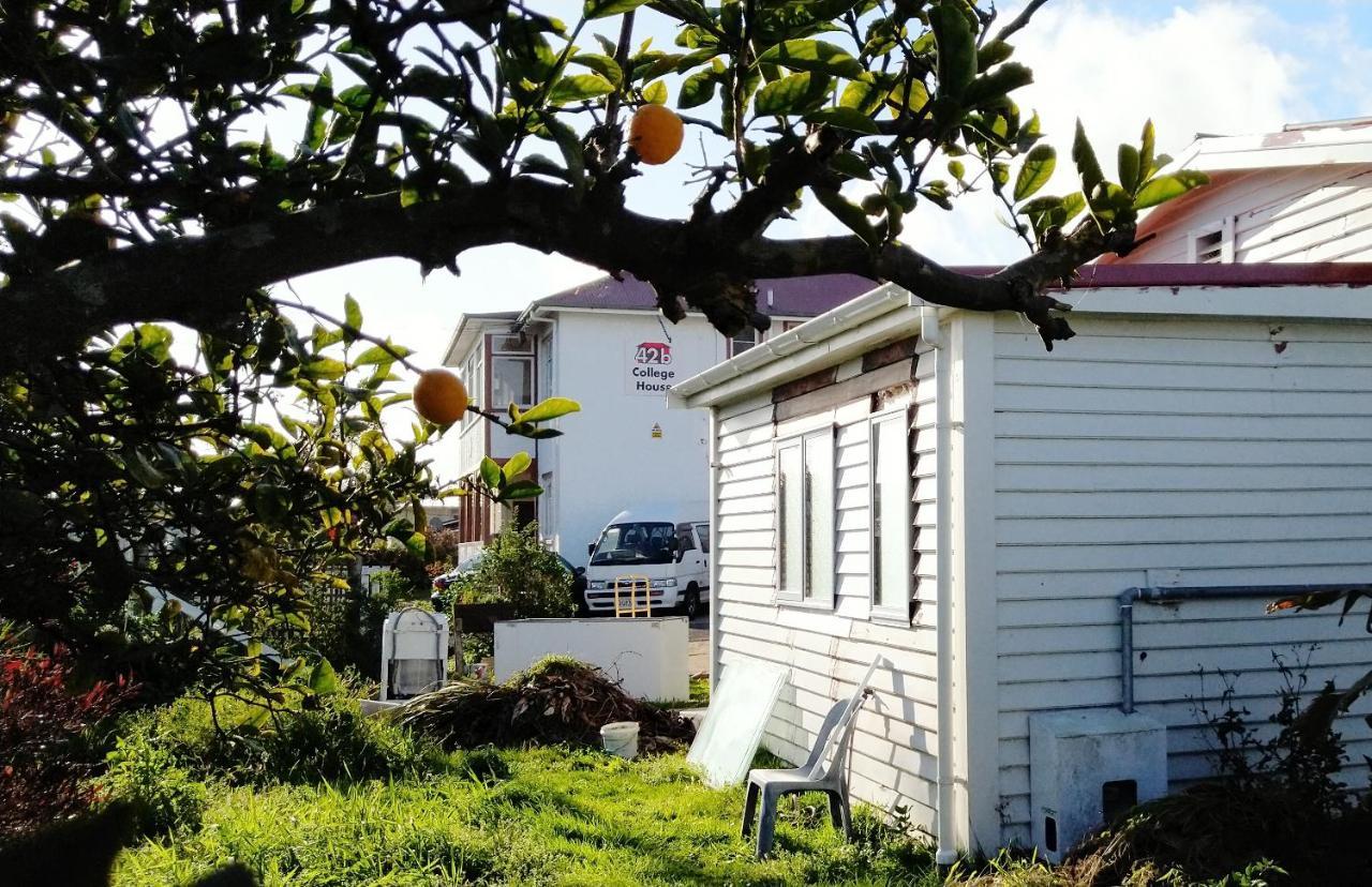 42B College House Pansiyon Whanganui Dış mekan fotoğraf